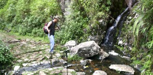 Trekking Trails at David Scott's Trail