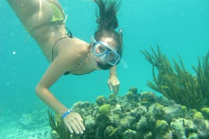A diver gets a close up view of the coral reefs