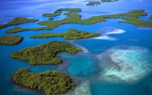 An aerial view of the picturesque Andaman Islands