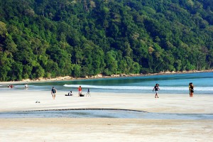The pristine beaches of the Andaman Islands.