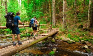 Tourist trekking through the dense forest in an Island.