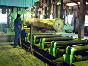 Inside the Chatham Saw Mill.