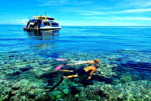 Tourist enjoying snorkeling in the blue waters of Radhanagar beach.