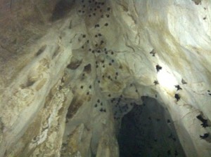 Inside view of the Alfred Caves at Diglipur.