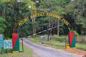 Mount Harriet National Park 1