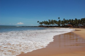 Clean and Sparkling beach of Tarkarli