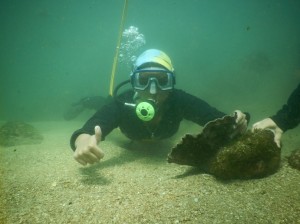 Scuba diving in Tarkarli