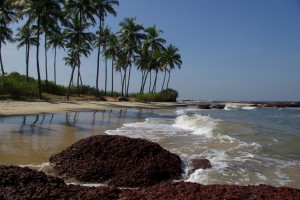 Bhogwe Beach 1