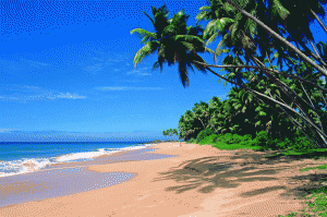 Kolamb beach 1