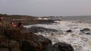 Rock garden 1