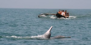 Tarkarli Beach 2