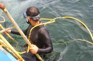A diver gets ready for a Commercial Scuba Dive without a cylinder