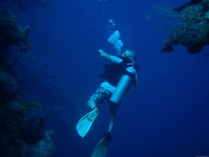 A diver explores the world underwater