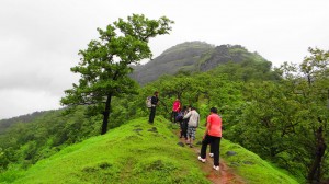 Trekkers make their way to the summit.
