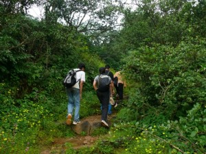 Trekkers make their way through the dense trails of Mahuli