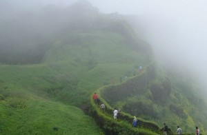 Trekkers enjoy their trek trek through the cold mist