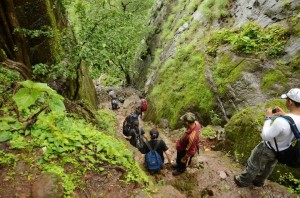 Trekkers on their way