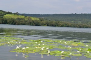 A view of the picturesque Kaas Talav
