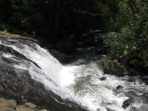 Cold streams flow at the falls