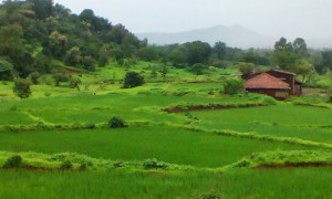 The farmlands of Vangani village