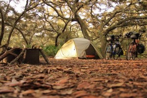 Camping_at_Mahabaleshwar