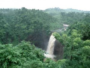 Dabhosa Waterfalls nestled in the beautiful jungle